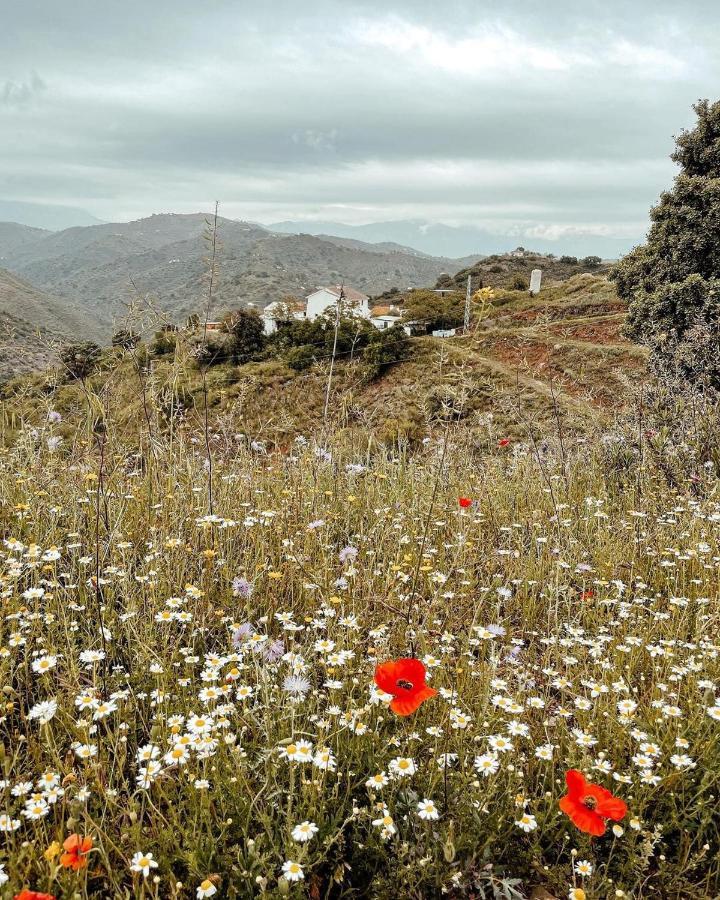 Finca Serrato Colmenar Luaran gambar